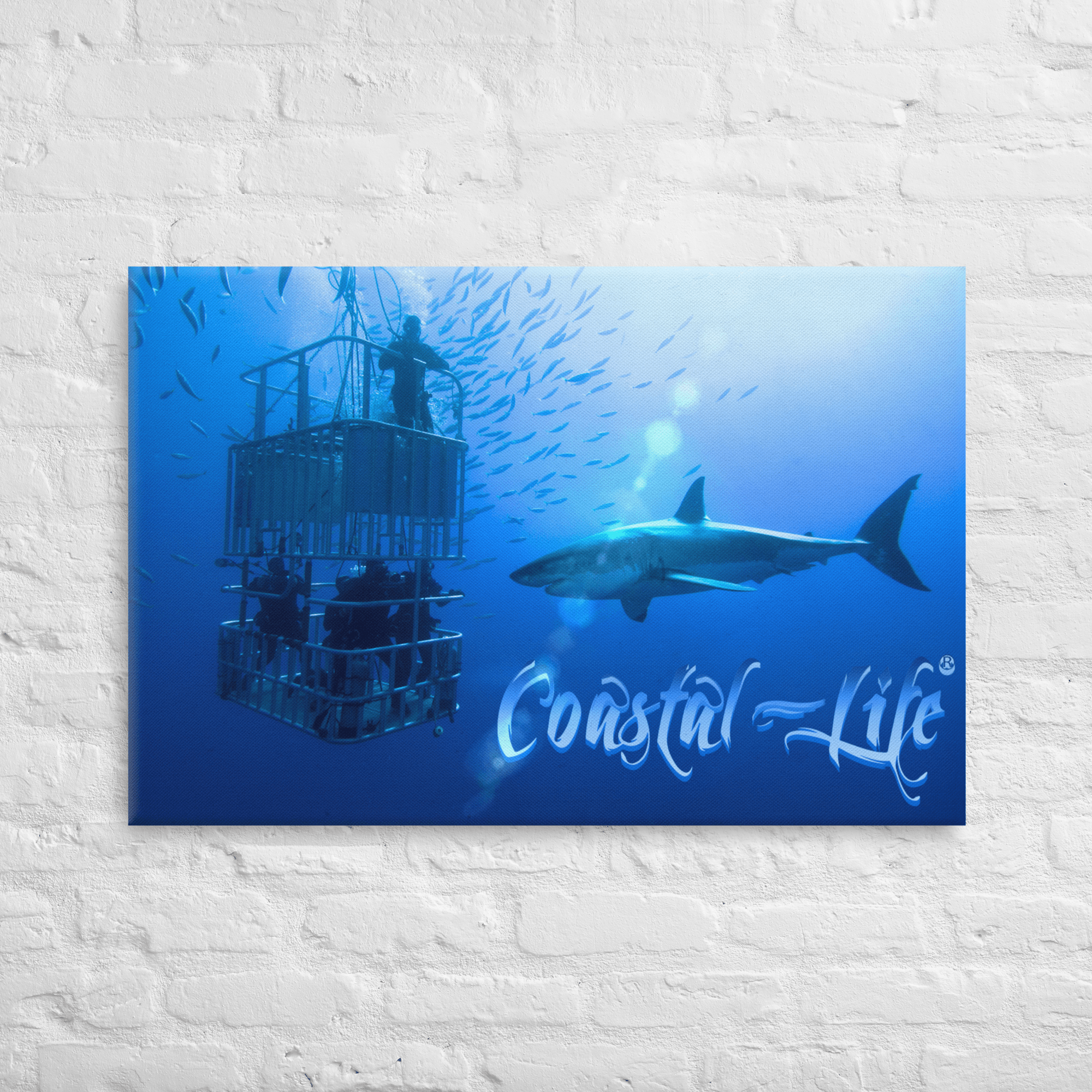Coastal Life® Cage Dive 24" X 36" on Canvas Print