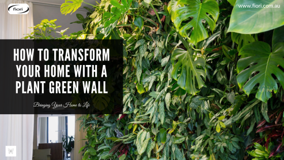How To Transform Your Home With A Plant Green Wall - Designed for ...