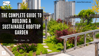 Image showcasing The Complete Guide to Building a Sustainable Rooftop Garden - Designed ...
