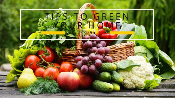 17 Tips to Help You Make Your Home More Eco-Friendly