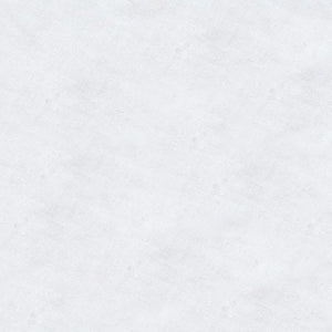 Giselle Bedding 700GSM Goose Down Feather Quilt Queen