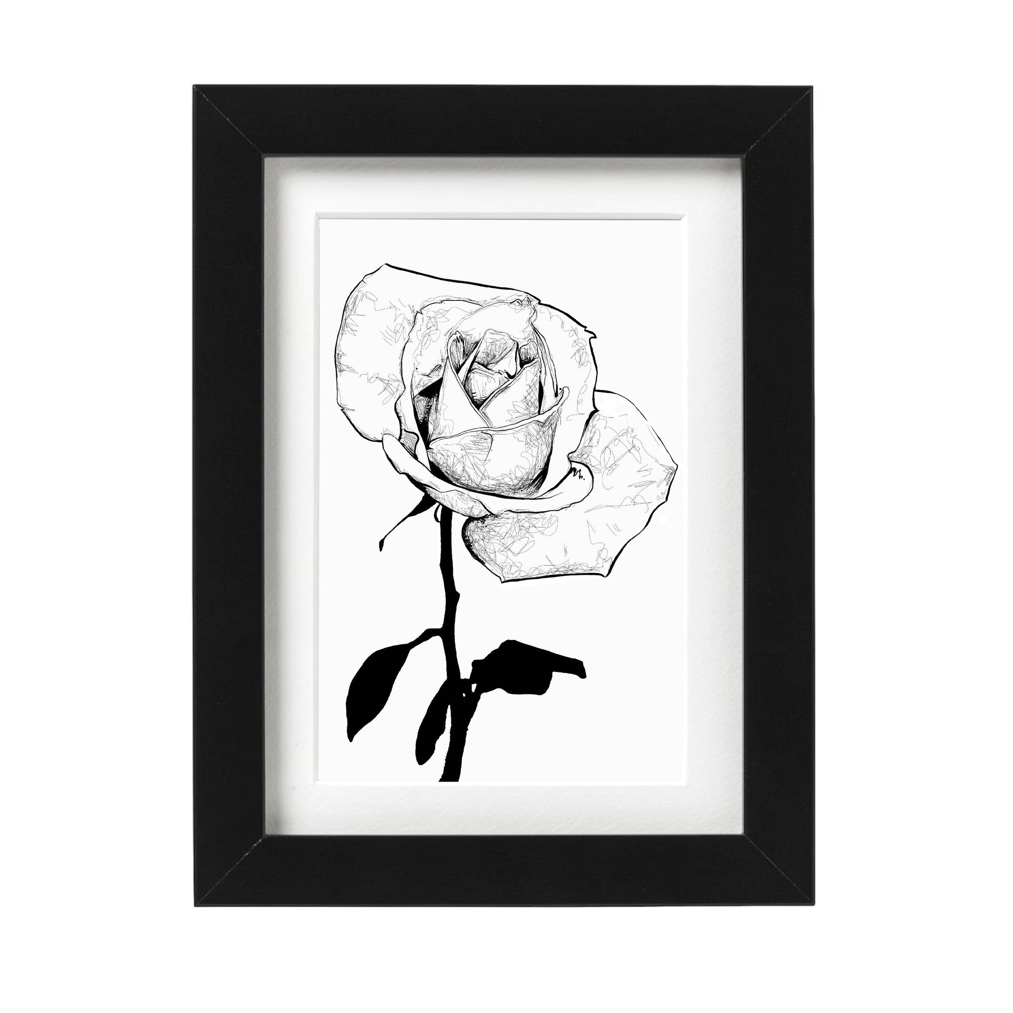 Black and White Single Rose Art Print