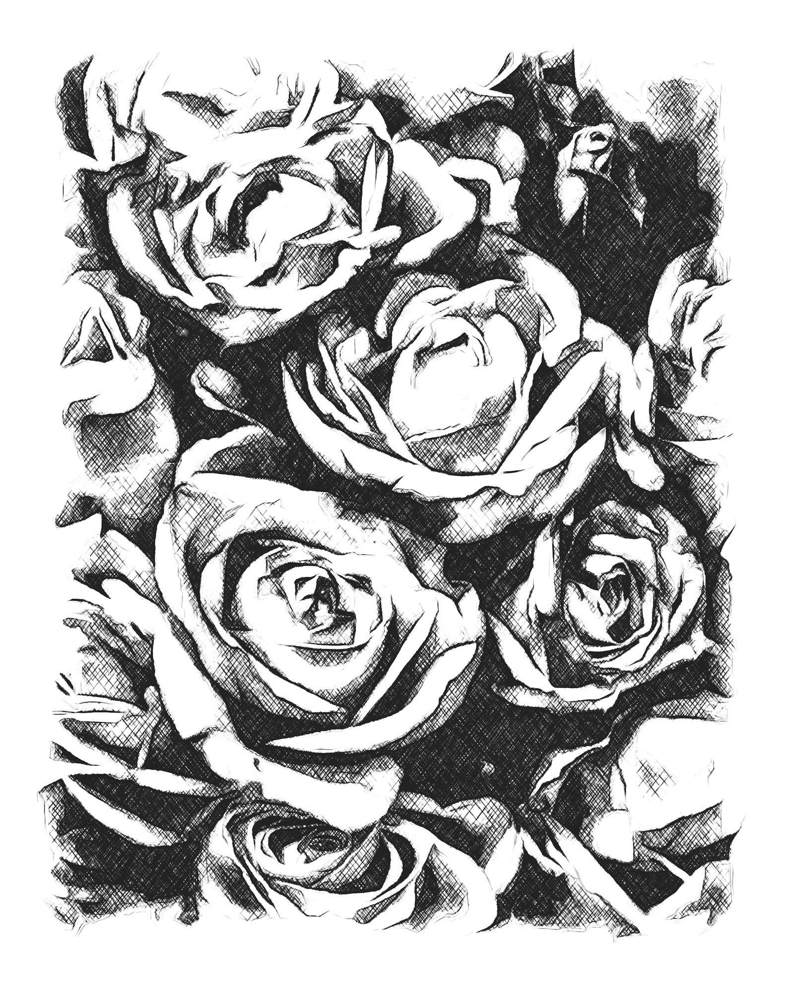 Black & White Roses Wall Art Print