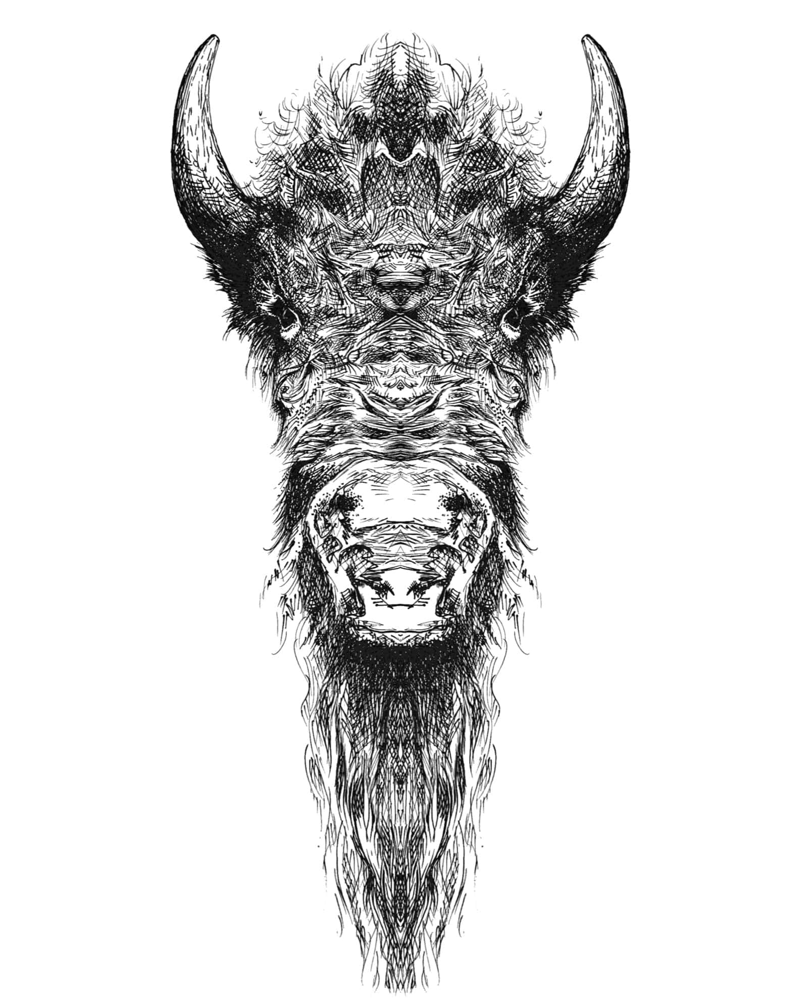 Buffalo in Center Art Print