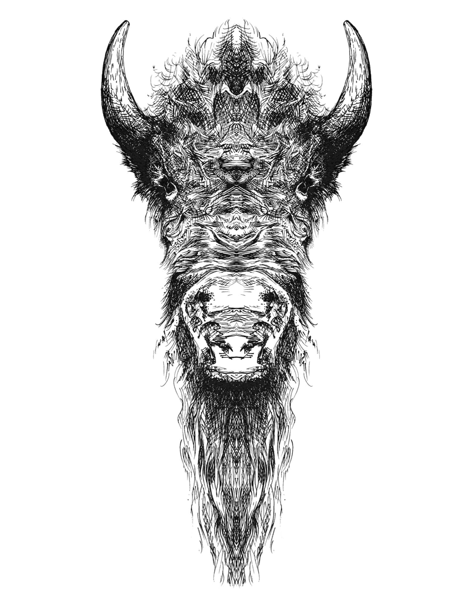 Buffalo in Center Art Print