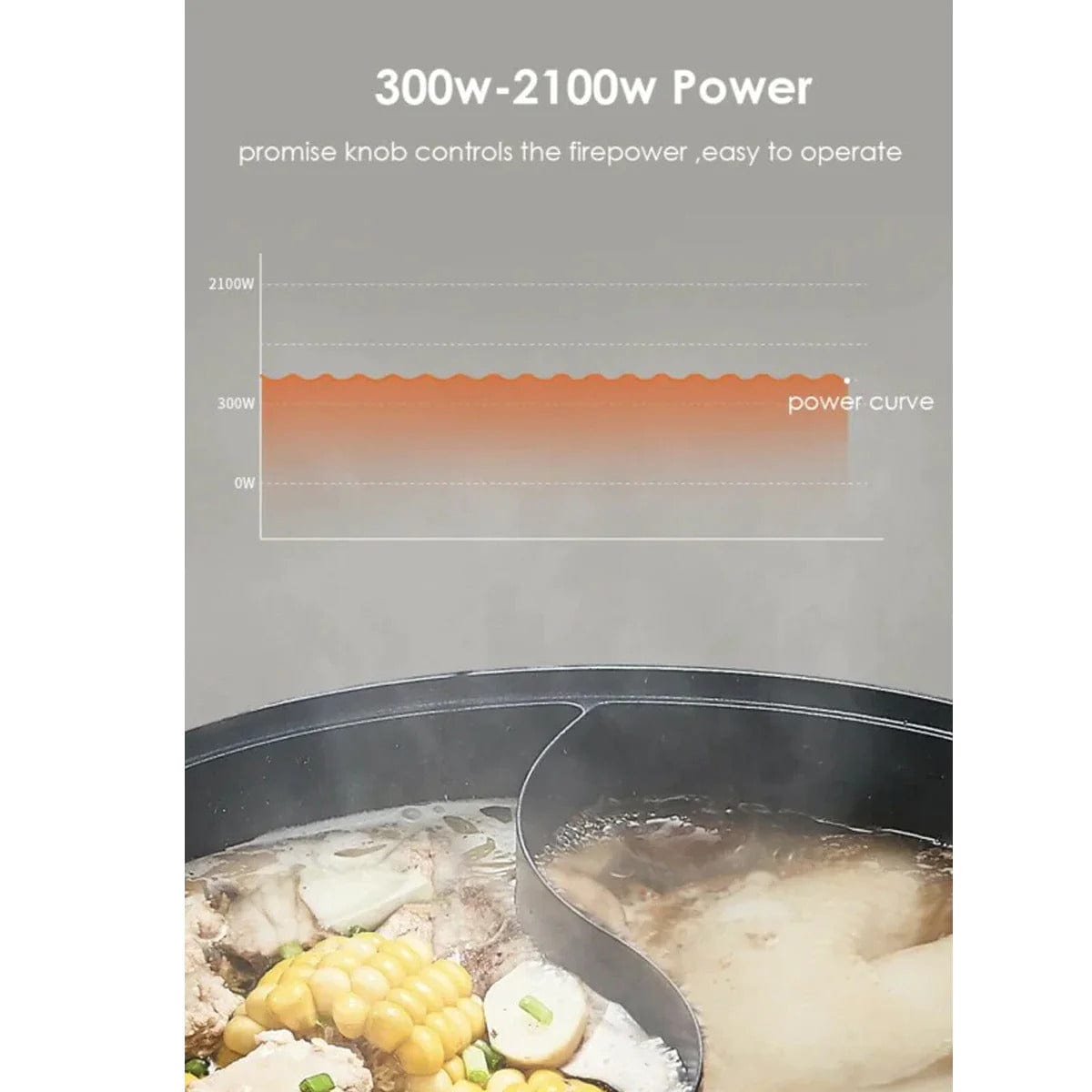 Induction Cooker with Hot Pot