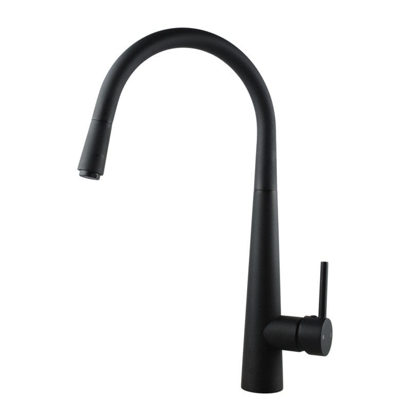 Matte Black Pull Out Kitchen Mixer Tap