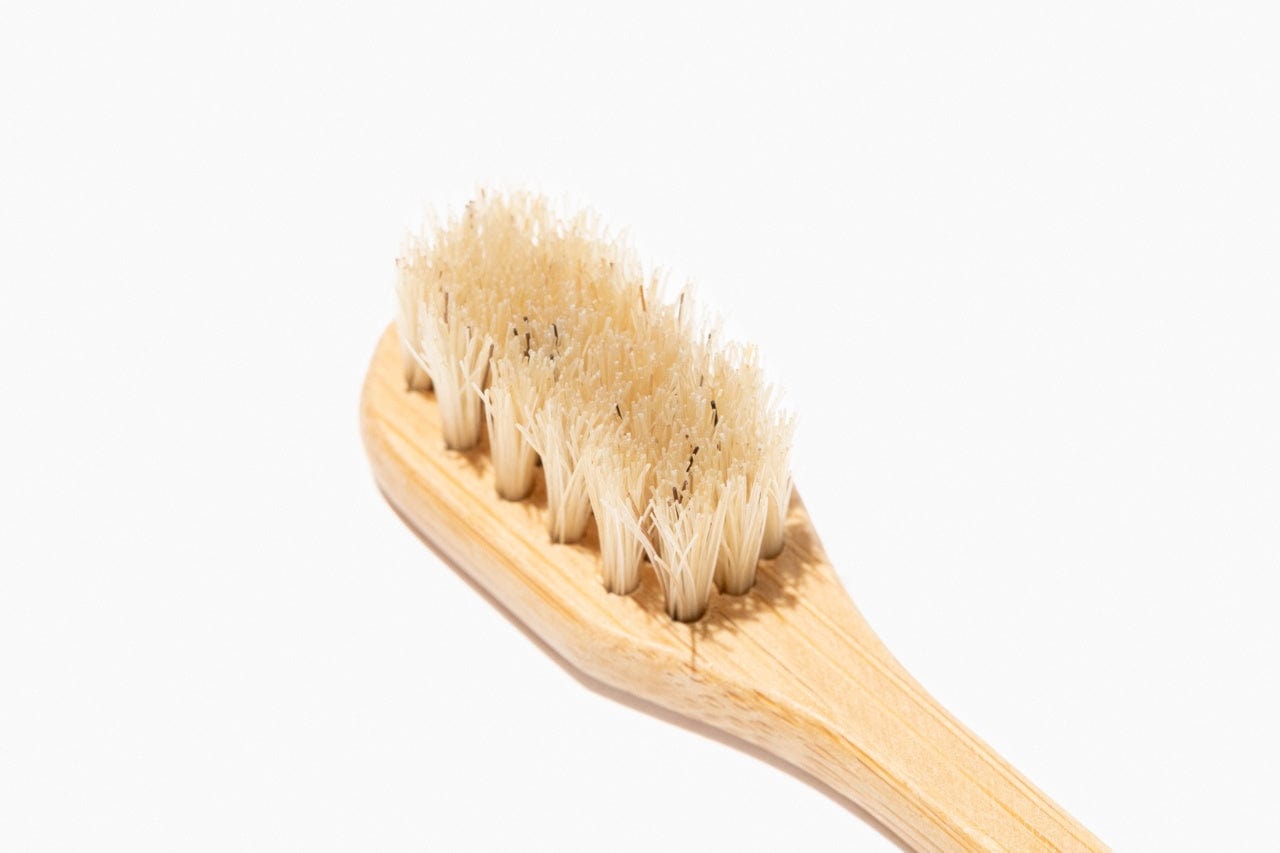 Palanan - Bamboo Toothbrush - White